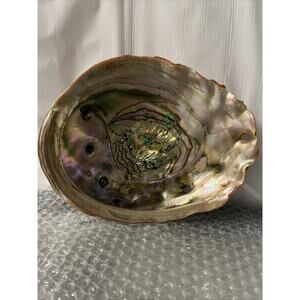 Abalone Shell Mother Of Pearl Beach Nautical Shelves Aquarium Decor Craft Vntg